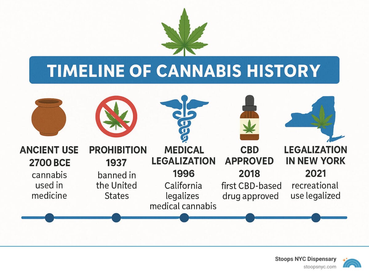 How Long Does Weed Stay in Your System? 2025 Guide & Detox