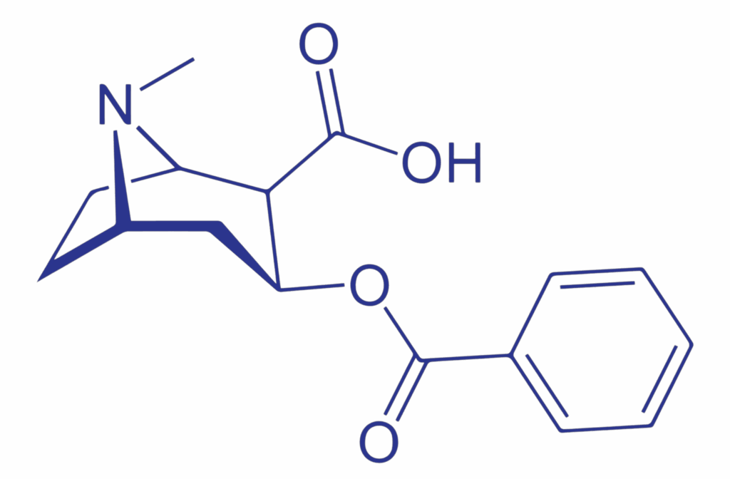 benzoylecgonine