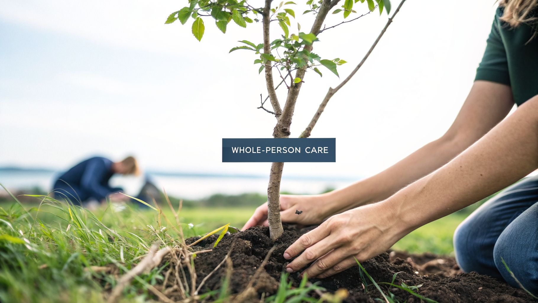 A person's hands carefully planting a small tree in soil, with another person blurred in the background.