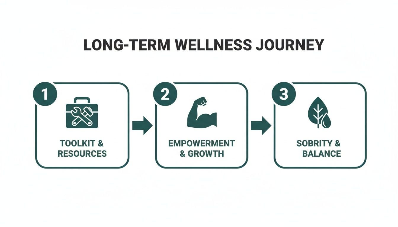 A three-step long-term wellness journey showing toolkit, empowerment, and sobriety leading to balance.