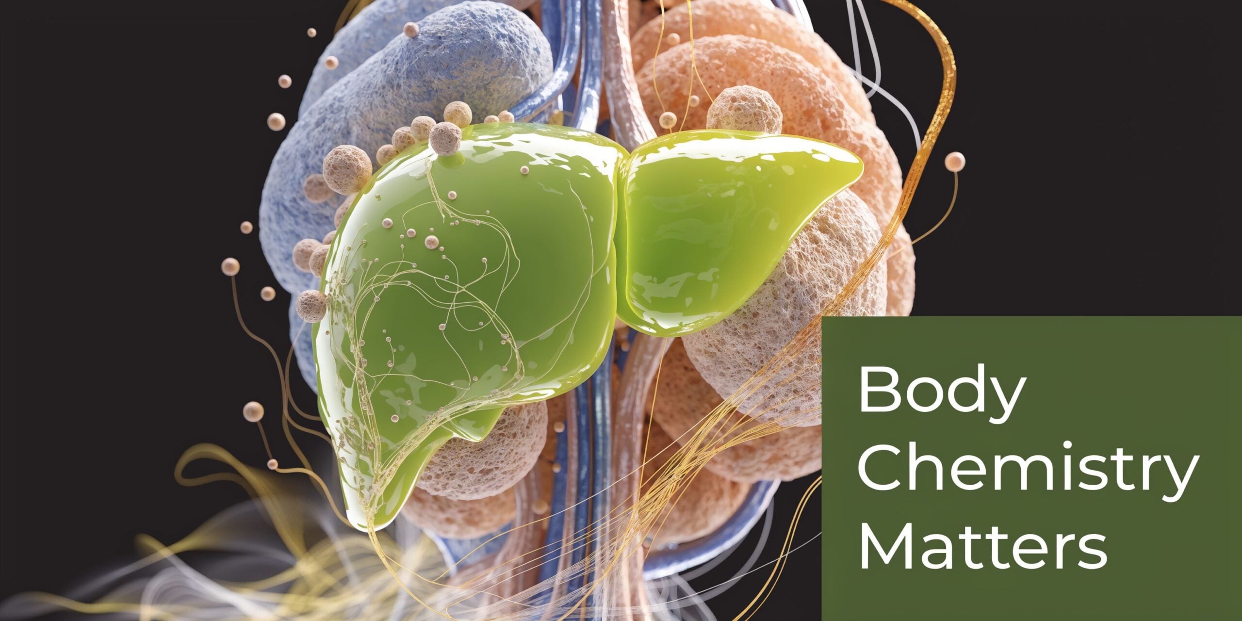 A 3D render of a human liver surrounded by organ tissue and abstract chemical connection lines.