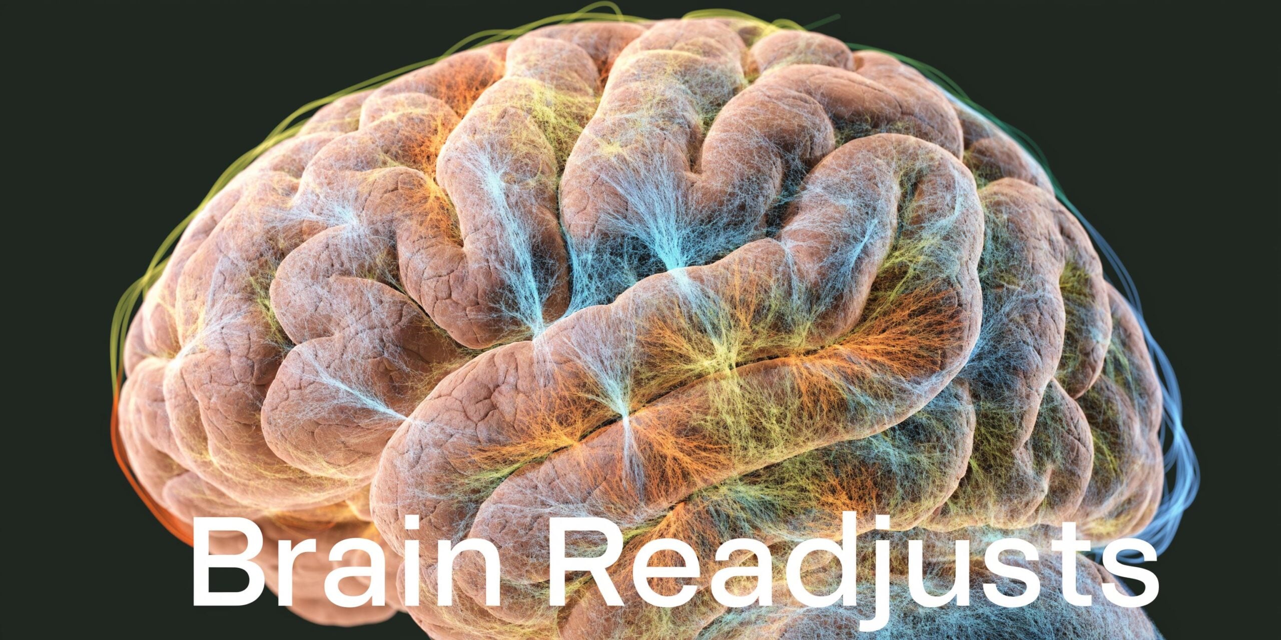 A detailed 3D rendering of a human brain with glowing neural networks illustrating cognitive readjustment and connectivity.
