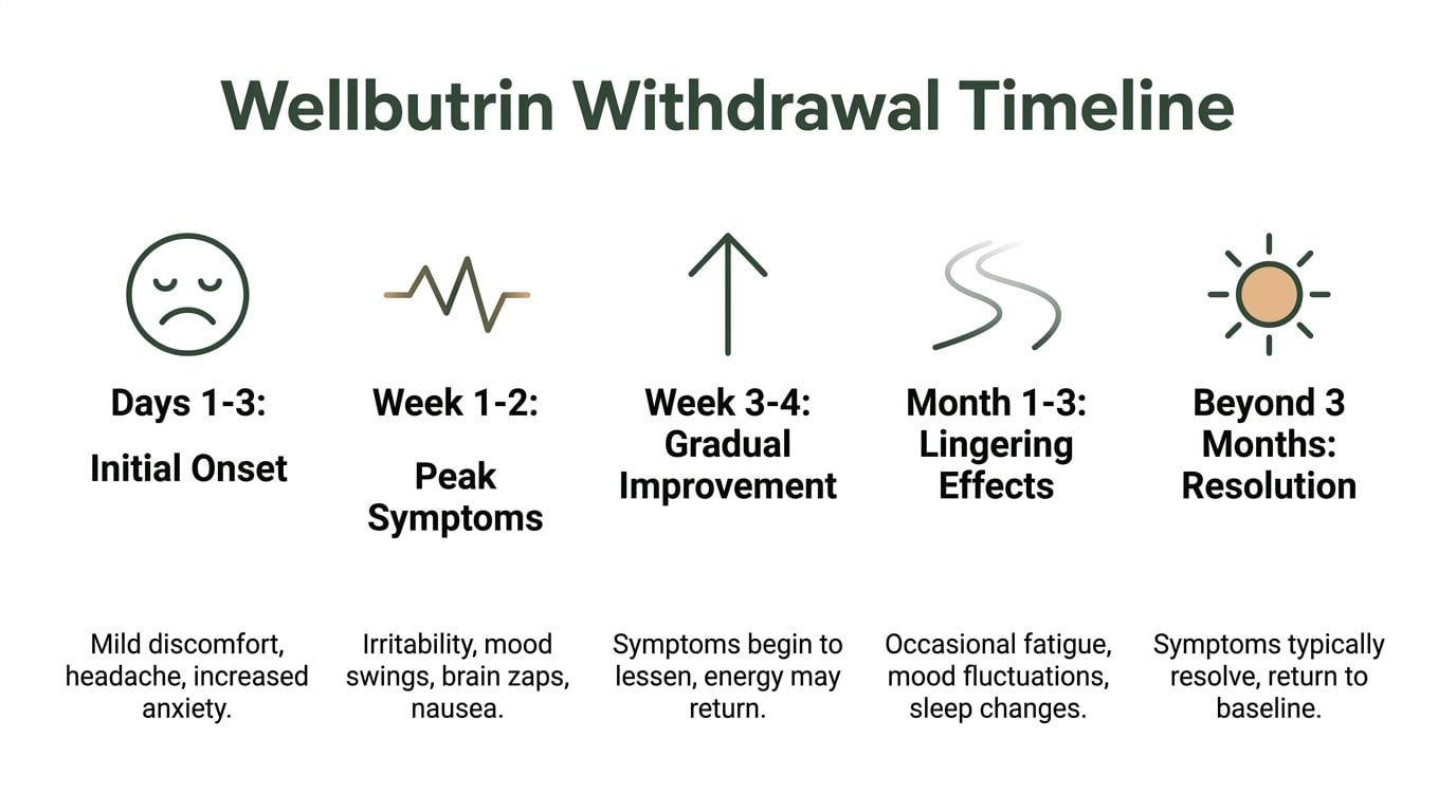 A timeline graphic illustrating the stages of Wellbutrin withdrawal, from initial onset to symptom resolution.