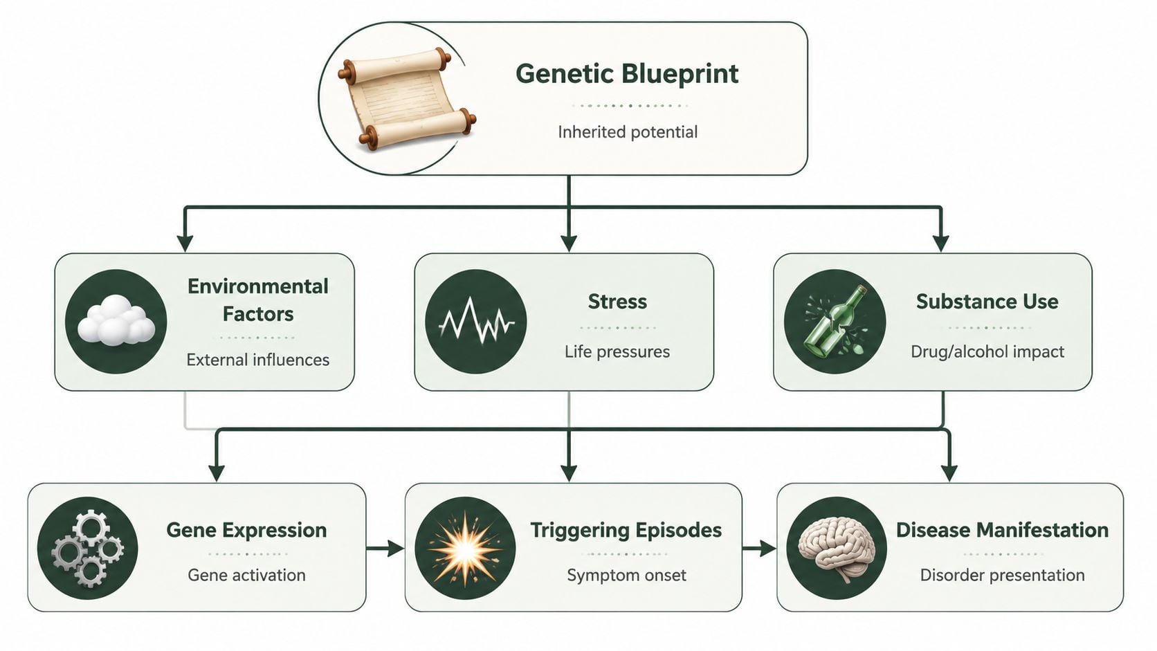 A diagram illustrating how genetic blueprint, environmental factors, stress, and substance use influence disease manifestation and gene expression.