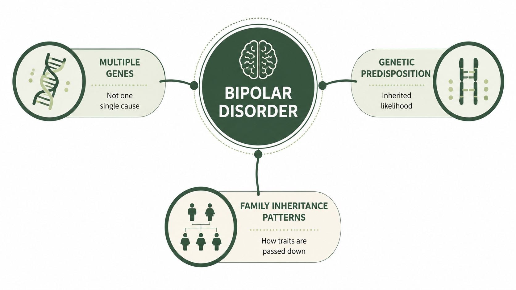 A diagram explaining that bipolar disorder is linked to multiple genes, genetic predisposition, and family inheritance patterns.