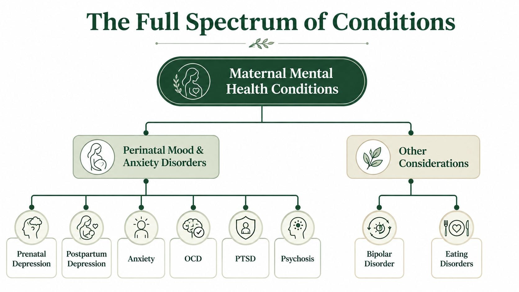 A diagram illustrating the full spectrum of maternal mental health conditions, including mood disorders and other considerations.